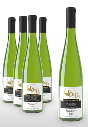 Vente de vin Sylvaner 2022 Réserve Particuliére - Le Carton de 6 Bouteilles - Achat de bouteille de vin blanc d'Alsace aoc